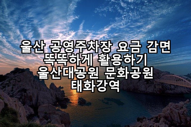 울산 공영주차장 요금 감면 똑똑하게 활용하기 울산대공원 문화공원 태화강역